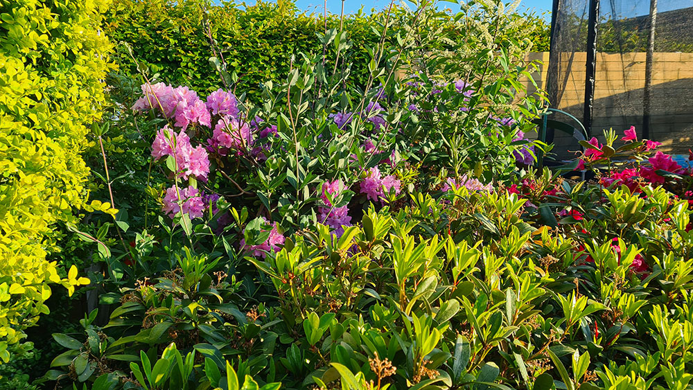 2021-06-10 20.05.12.jpg